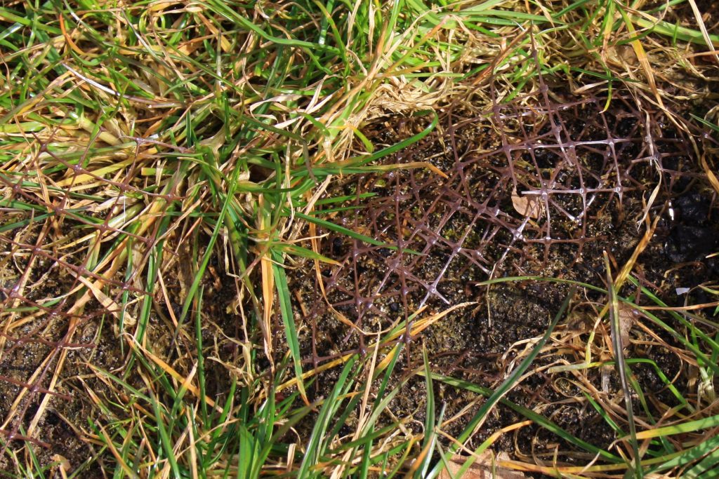 Nieuw grasveld