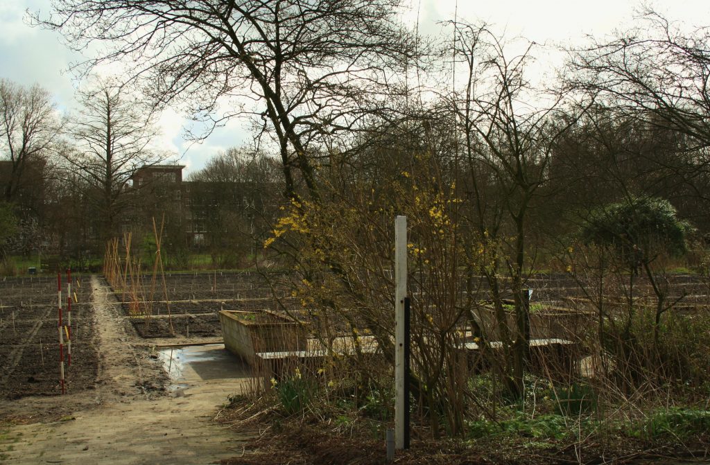 Schooltuin